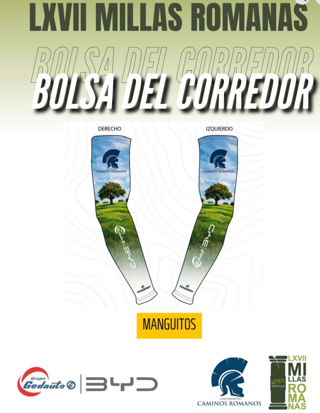 Manguitos Técnicos Oficiales